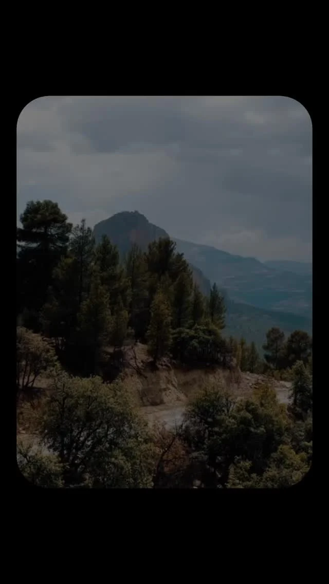 SEASON OPENER ALERT
Be part of the first ride of the season – High Atlas Mountains | September 28 

15% OFF – LIMITED TIME DEAL ⁠

Twist the throttle through epic mountain switchbacks, discover remote Berber villages, and ride into the heart of authentic Morocco. This isn’t your average tour – it’s pure adventure, far from the crowds.⁠

Ride like a local. Explore like never before.

📍 Morocco | 5-Day Guided Motorcycle Tour
✅ Bike, accommodations and support crew included
📅 Tour Date: September 28

Tag your travel crew and join us [Link in bio 🔗]

Please note, spots are very limited – book yours now.

#DesertRatsTours
#RideMorocco
#AtlasMountains
#MotorcycleAdventure
#OffRoadMorocco
#ExploreMorocco
#AdventureTourMorocco
#MotorbikeTravel
#NoLicenseNoProblem
#VisitMorocco